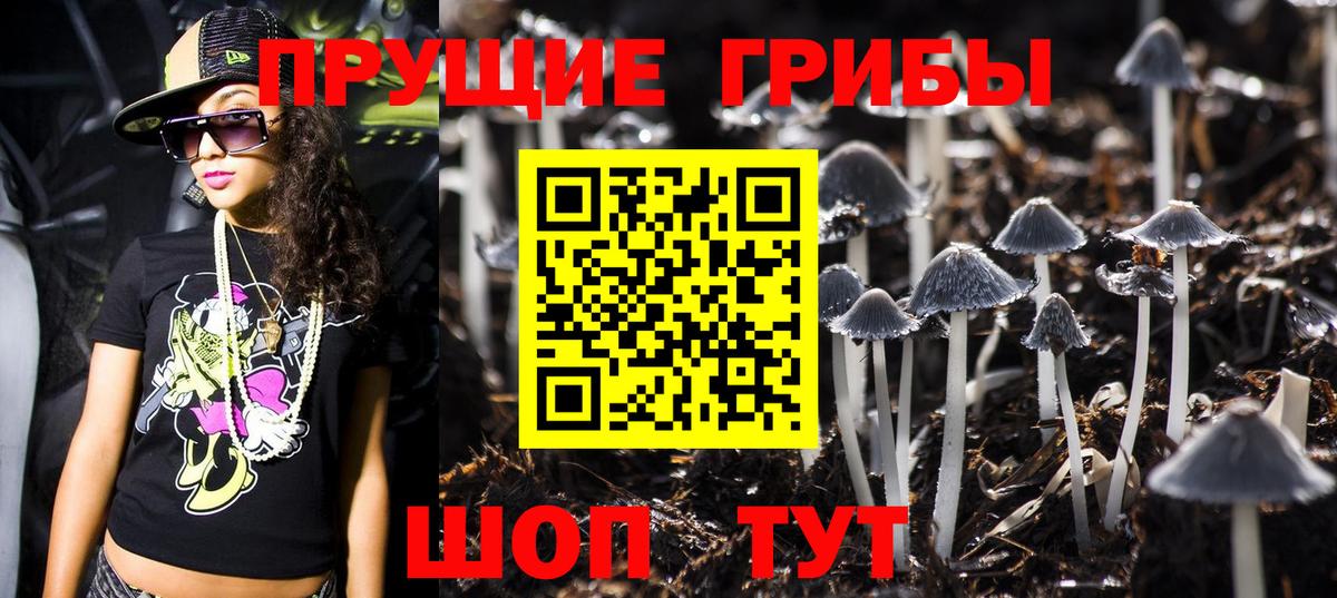 Калач-на-Дону  Псилоцибиновые грибы мицелий  Вход с VPN  Галлюциногенные грибы прущие грибы 